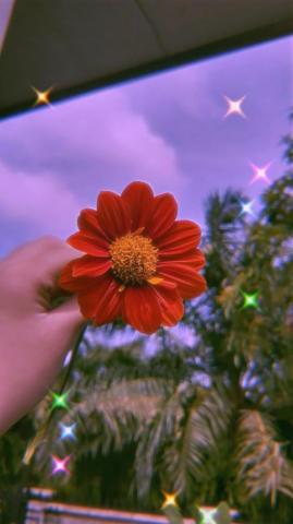 Flower Aesthetic Wallpaper Bad Girl