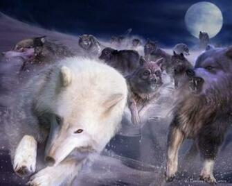 Pics Photos Wolf Pack Wallpaper Desktop