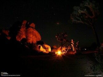 Joshua Tree