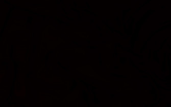 Black Wallpaper Image