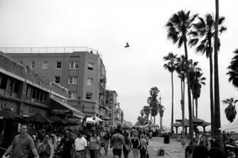 Venice Beach Computer Wallpaper