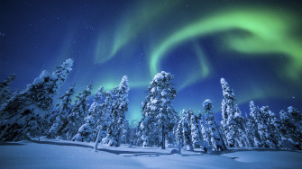 Northern Lights Over Winter Forest UHD 4k Wallpaper