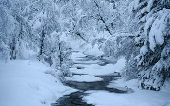 Winter River Snow Trees HD Wallpaper