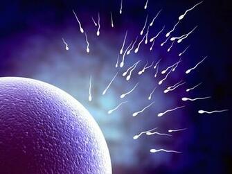 Best Sperm Wallpaper