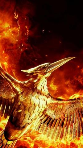 Hunger Games Mockingjay Part Wallpaper Teahub Io