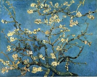 Blossom A Post Impressionist Vincent Van Gogh Art Wallpaper Picture