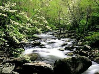 Wallpapermaniacal Desk Top Wallpaper Nature Scenes Rivers And