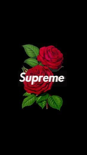 Supreme Rose Wallpaper iPhone