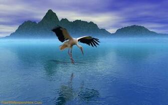 Stork Computer Wallpaper Desktop Background