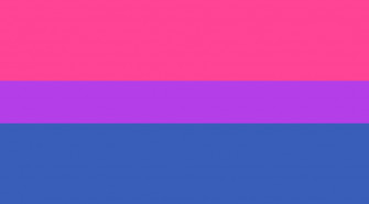 Michael Bisexual Pride Flag Queer Art History