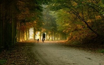 Park Road Bike Skate Fall Wallpaper Background Ultra HD 4k