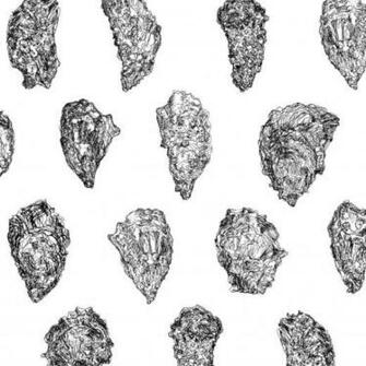 Oysters Wallpaper Black And White On Red Smooth Paper