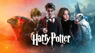Harry Potter All Characters Wallpaper