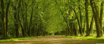 An Amazing Of Nature That Can Only Be Seen In Ultra Wallpaper