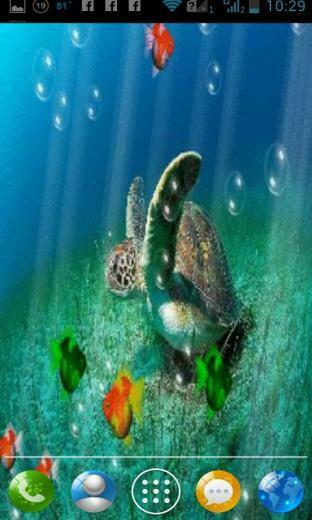Sea Turtle Aquarium Live Wallpaper For Your Android