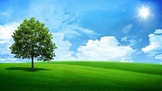 Full HD Wallpaper Green