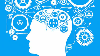 Cognitive Effects Of Your Endocannabinoid Genetics Prof Pot