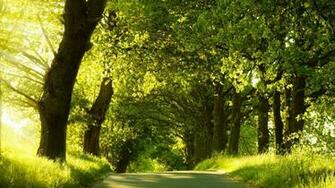 Wallpaper Background Description Green Nature Dual Monitor