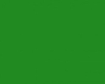 Related Pictures Green Forest Wallpaper