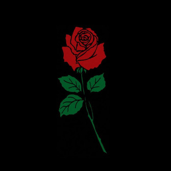 Black Rose Aesthetic Wallpaper
