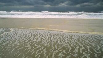 Islands Parks New Jersey Beaches Wallpaper