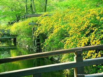 Kyoto Japanese Garden Wallpaper In Zen