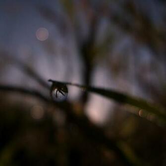 Blurry Water Drop At The Dawn iPad Wallpaper