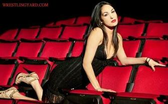 Wwe Wrestling Raw Smackdown The Divas Brie Bella Wallpaper