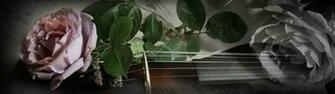 Dual Monitor Widescreen Wallpaper Electric Violin And Rose A Classic