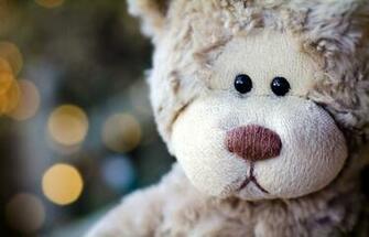 Wallpaper Teddy Bear Sad Mood