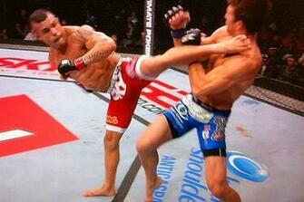 Amarelinho10 Chute Espetacular Vitor Belfort
