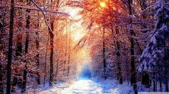 Winter Scenes HD Desktop Wallpaper Widescreen High Definition