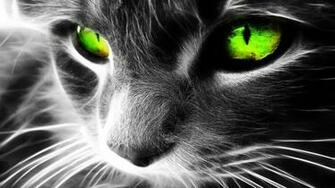 HD Wallpaper Animal Cats 1080p