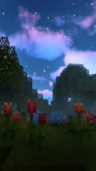 Minecraft Picture Art Creations Wallpaper