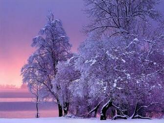 Lila Winter Vektorgrafik