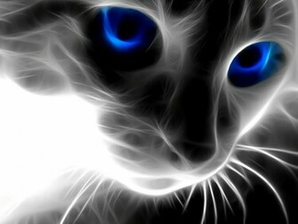 Wallpaper Background Animals Desktop