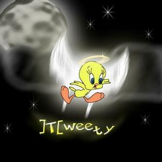 Tweety Good Morning Quotes