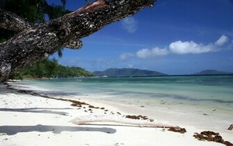 White Sand Beach Wallpaper