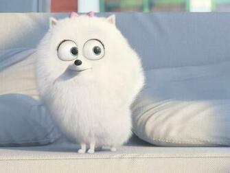 Wallpaper The Secret Life Of Pets Photos And Walls
