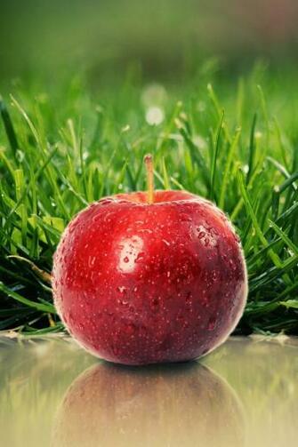Crisp Apple iPhone Wallpaper Simply Beautiful