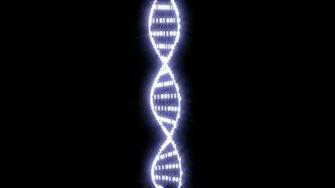 Dna Double Helix Wallpaper A Binary