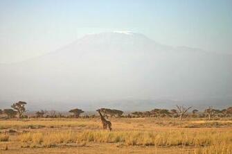 African Safari Background From Votes