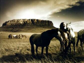 Wild Horses HD Wallpaper