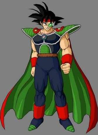 King Bardock Jpg