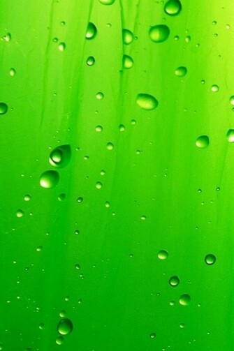 Green Raindrops Wallpaper For iPhone Photos Of