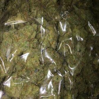 Khalifa Kush Kk Thecookieco408