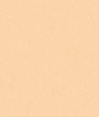 Peach Tiny Animal Print Wallpaper Wall Sticker Outlet