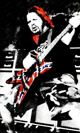 Pantera Wallpaper And Theme Application