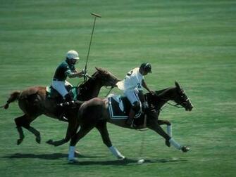 Polo Wallpaper Horse HD