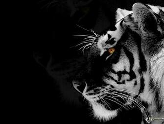 Black And White Animal Wallpaper